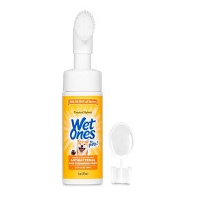 Wet Ones Antibacterial Dog Paw Cleaner